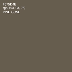 #675D4E - Pine Cone Color Image
